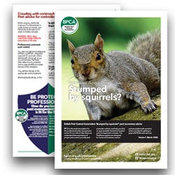 Stumped-by-squirrels-pest-advice Stumped-by-squirrels-pest-advice
